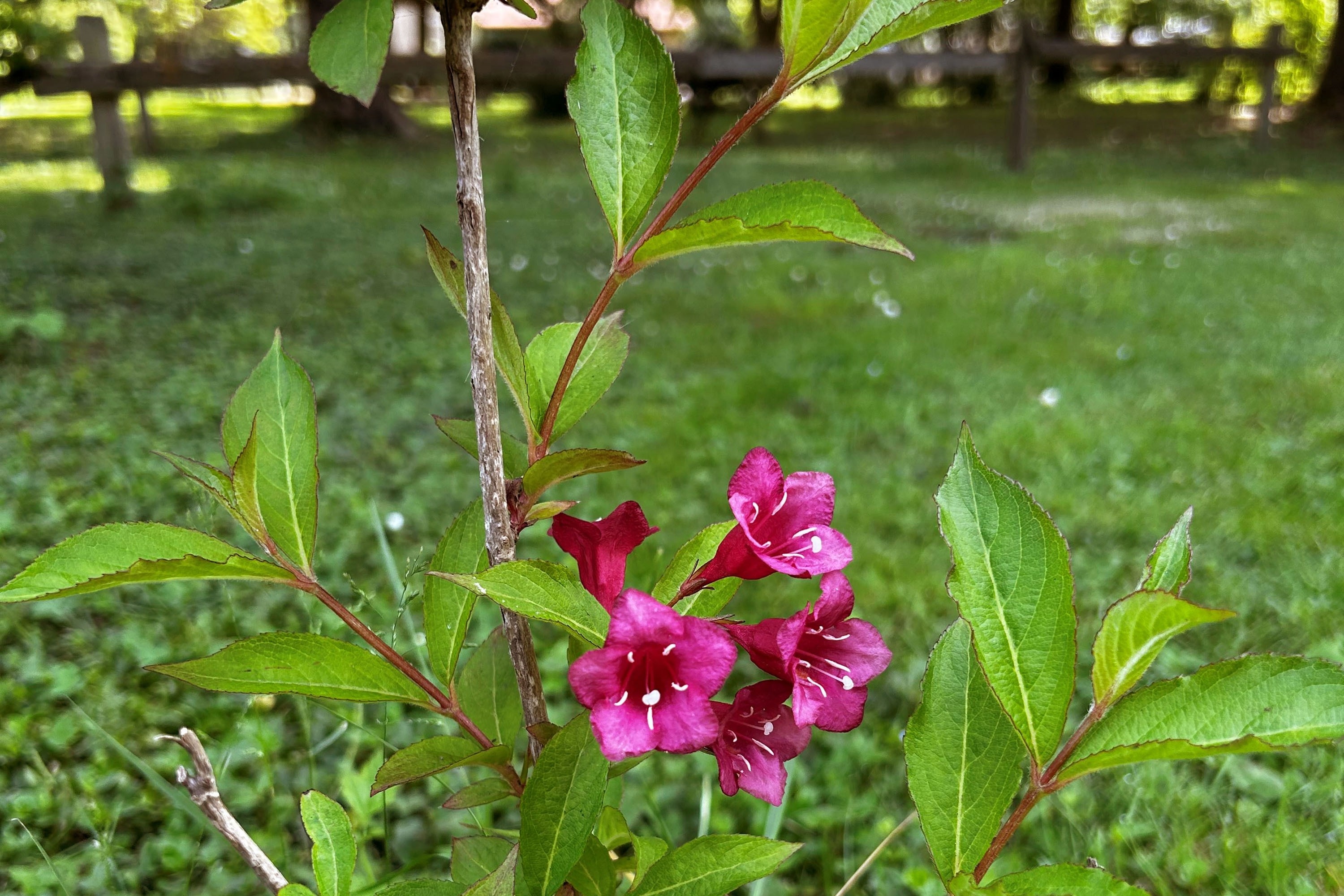 Camping Au Bon Endroit