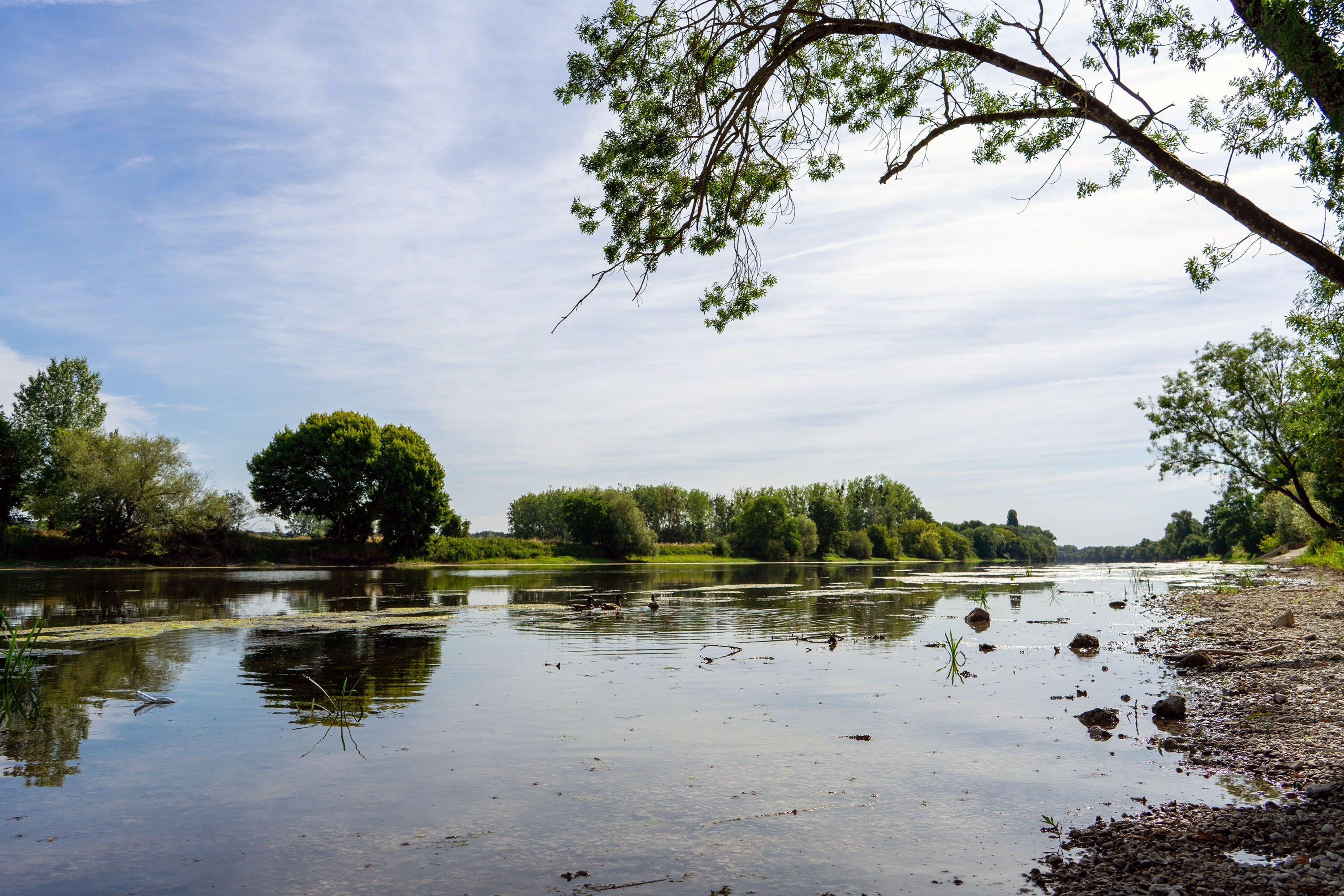 Camping La Gâtine Onlycamp