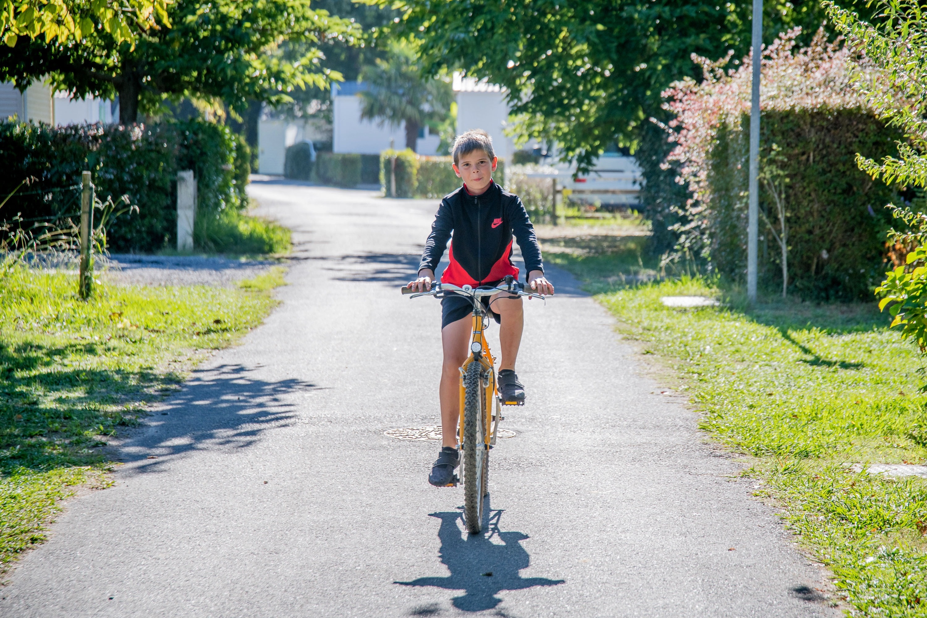 Camping Maeva L'Arbre d'Or