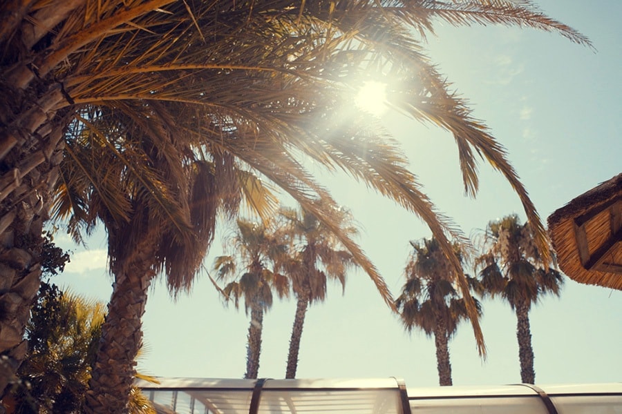 Camping Finca l'Air Marin