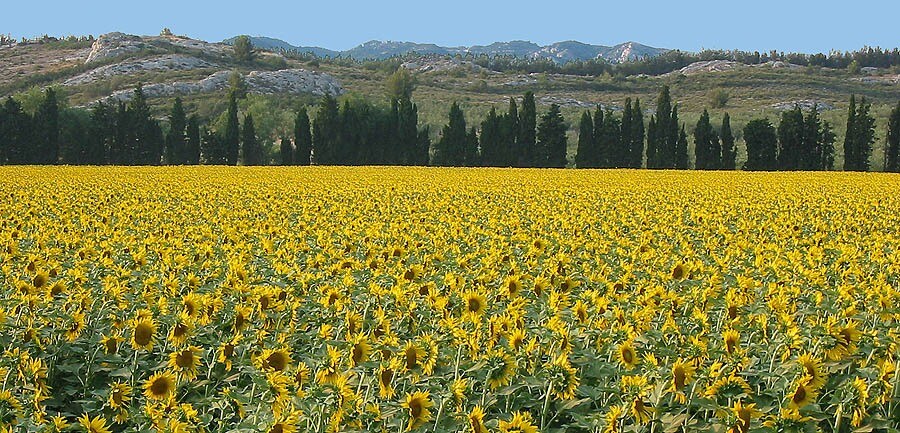 Camping Les Romarins