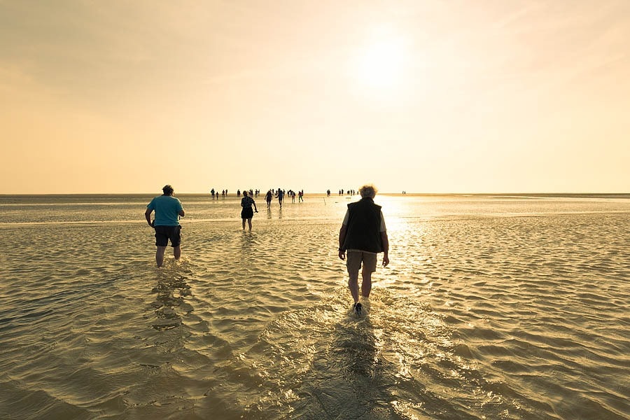 Siblu Camping Lauwersoog