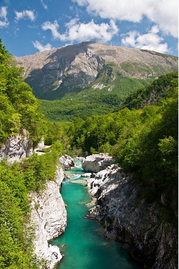 Eco-Camping & Chalets Koren