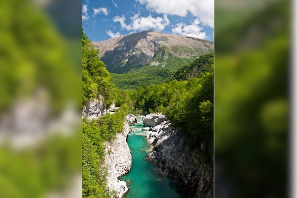 Eco-Camping & Chalets Koren