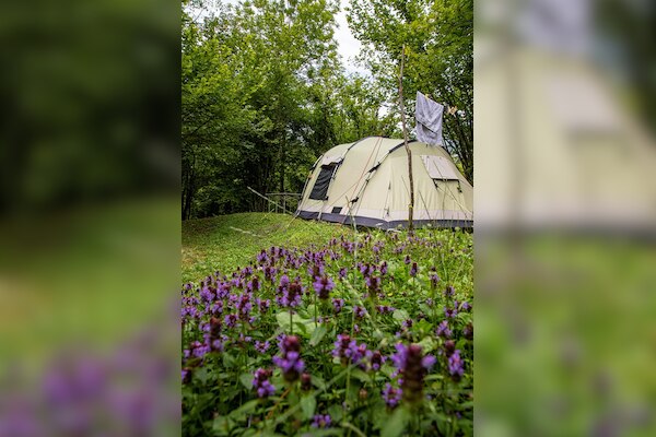 Eco-Camping & Chalets Koren