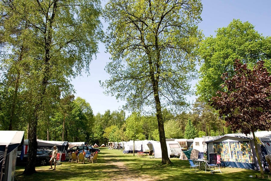 Ardoer Camping De Heldense Bossen