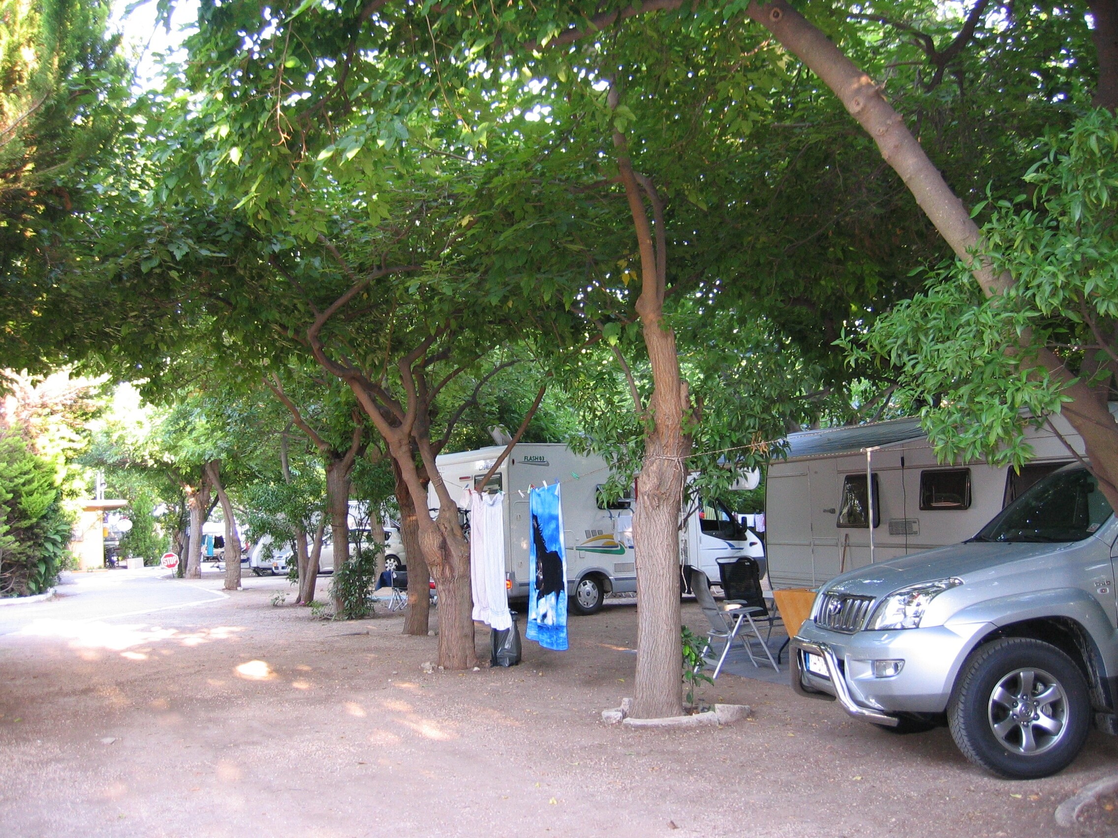 Camping Nicolas I