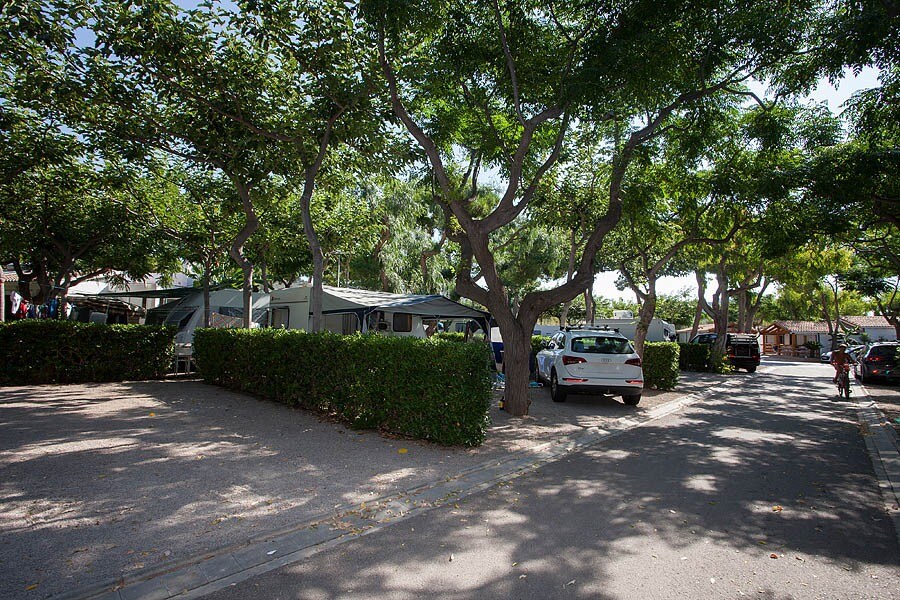 Bonterra Resort - Camping & Bungalows