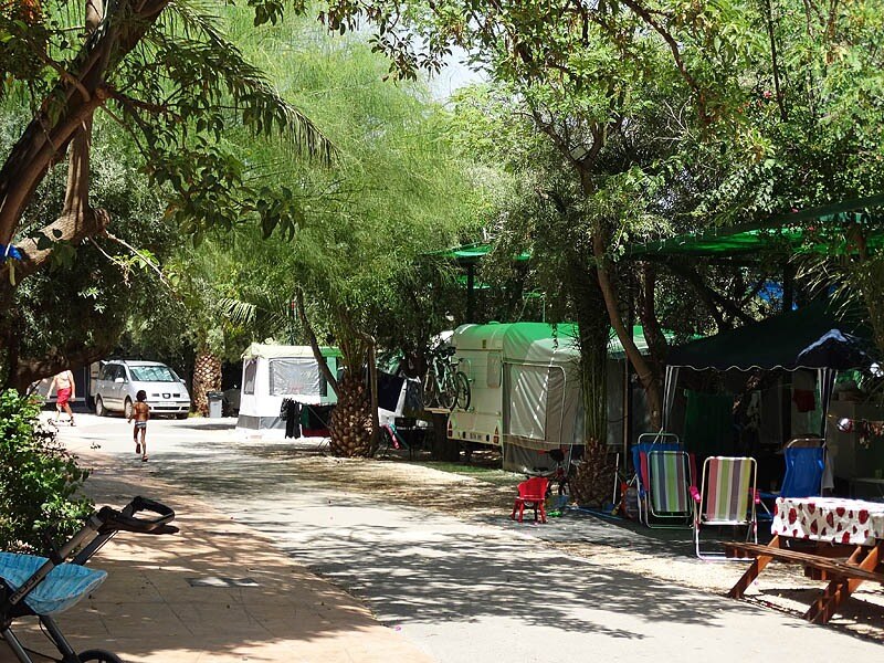 Camping Internacional Las Palmeras