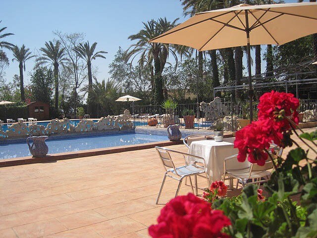 Camping Internacional Las Palmeras