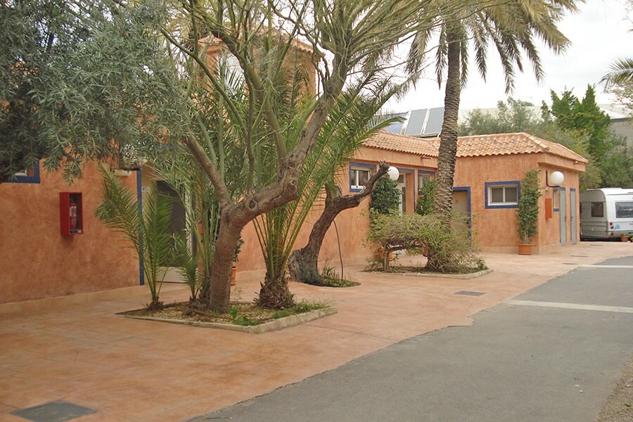 Camping Internacional Las Palmeras