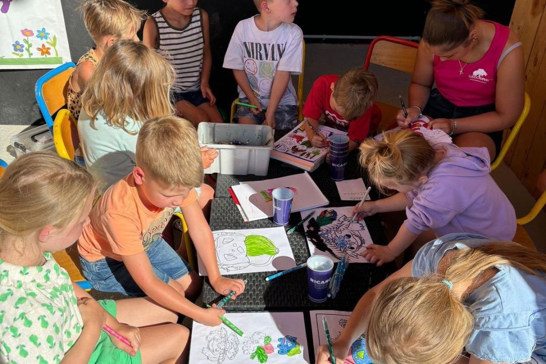 Pausado Ludo Camping