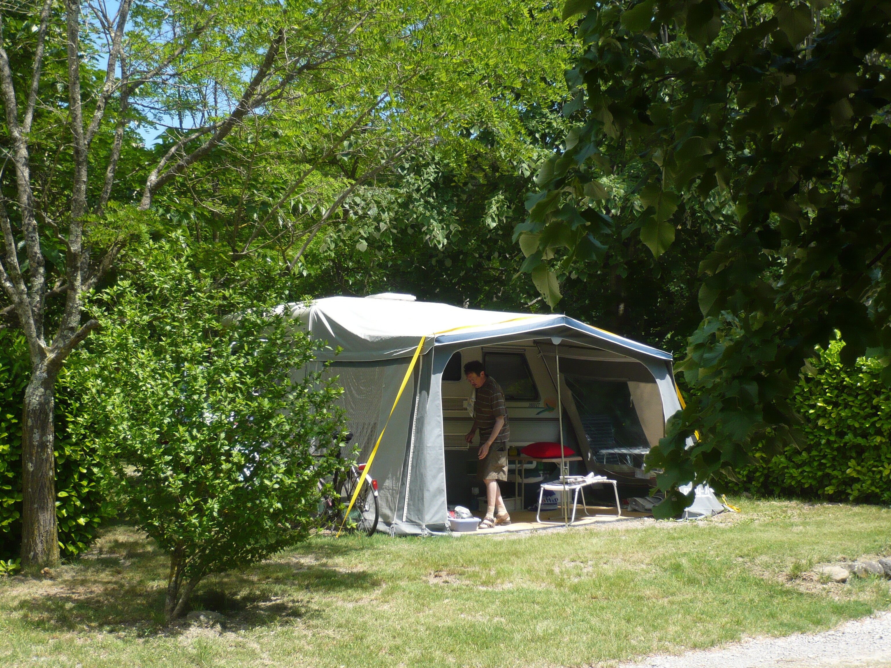 Pausado Ludo Camping