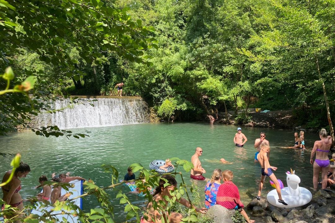 Pausado Ludo Camping afbeelding 2