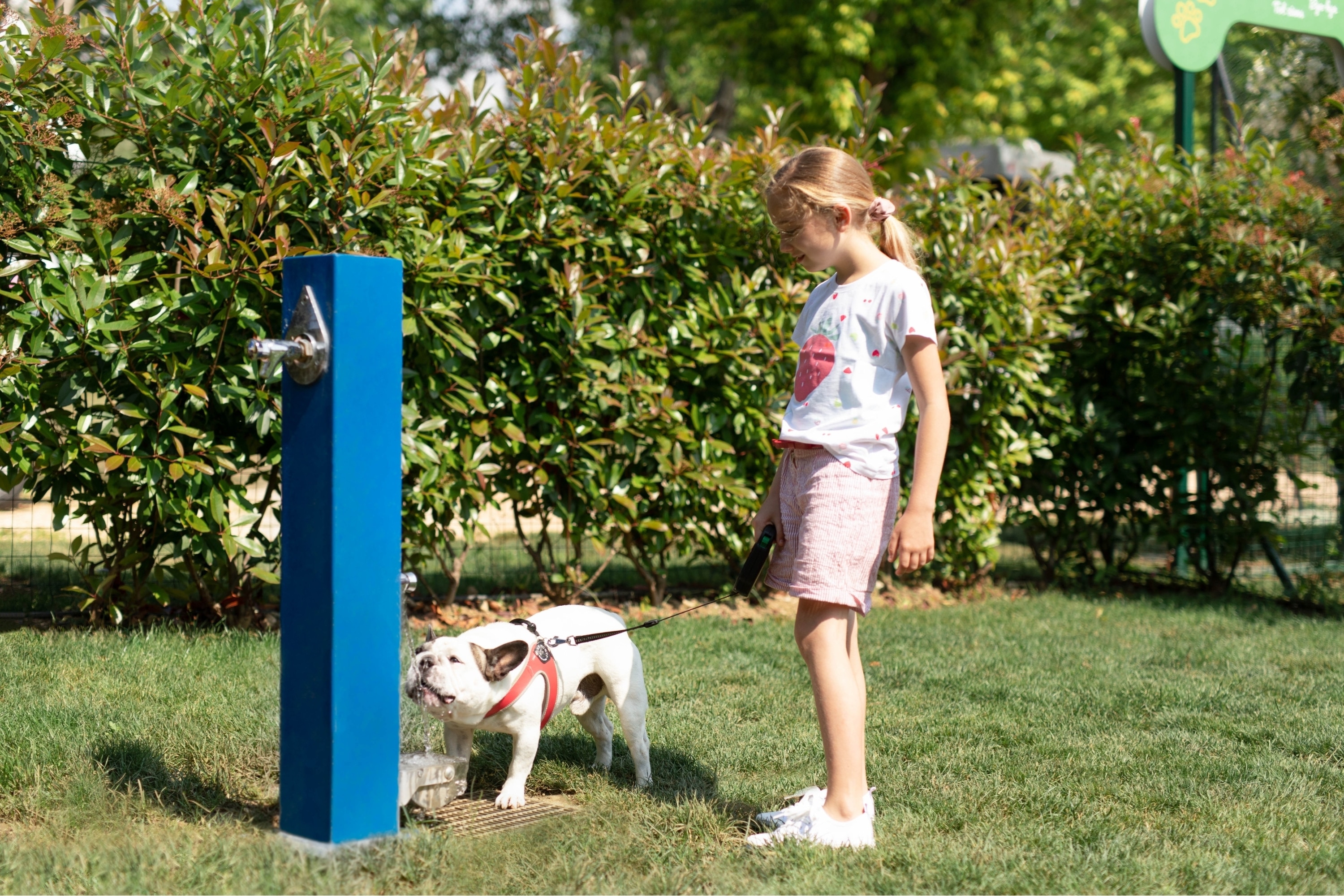 Camping Europa Silvella