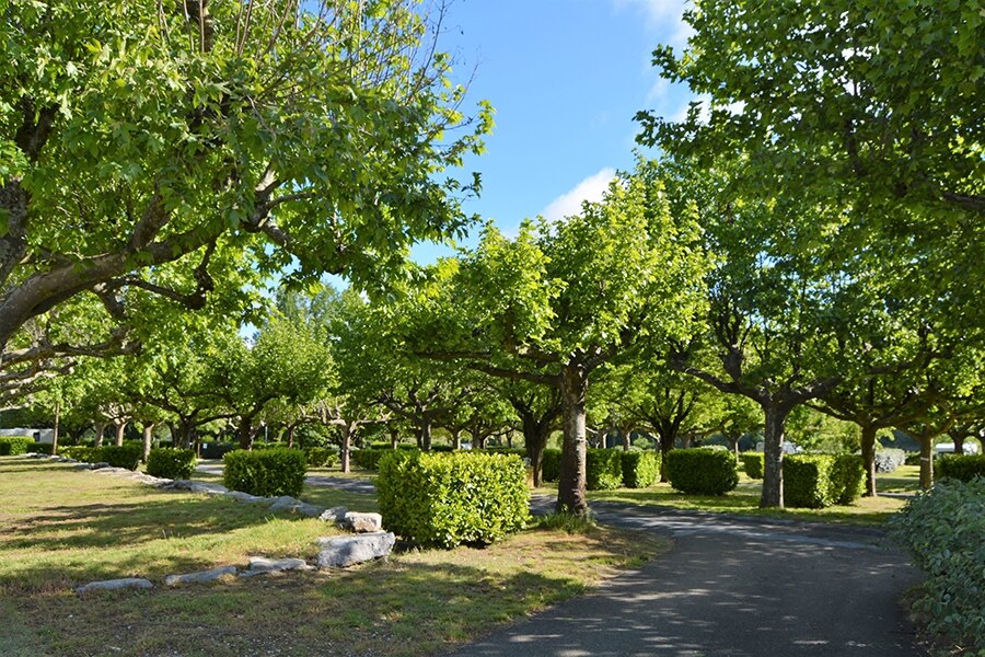 International Camping