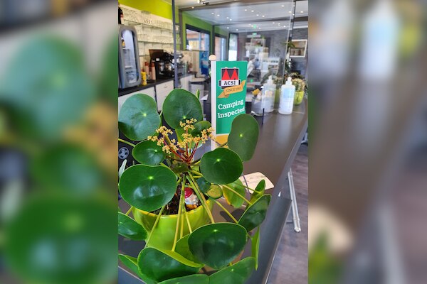 Camping De la Sûre Reisdorf