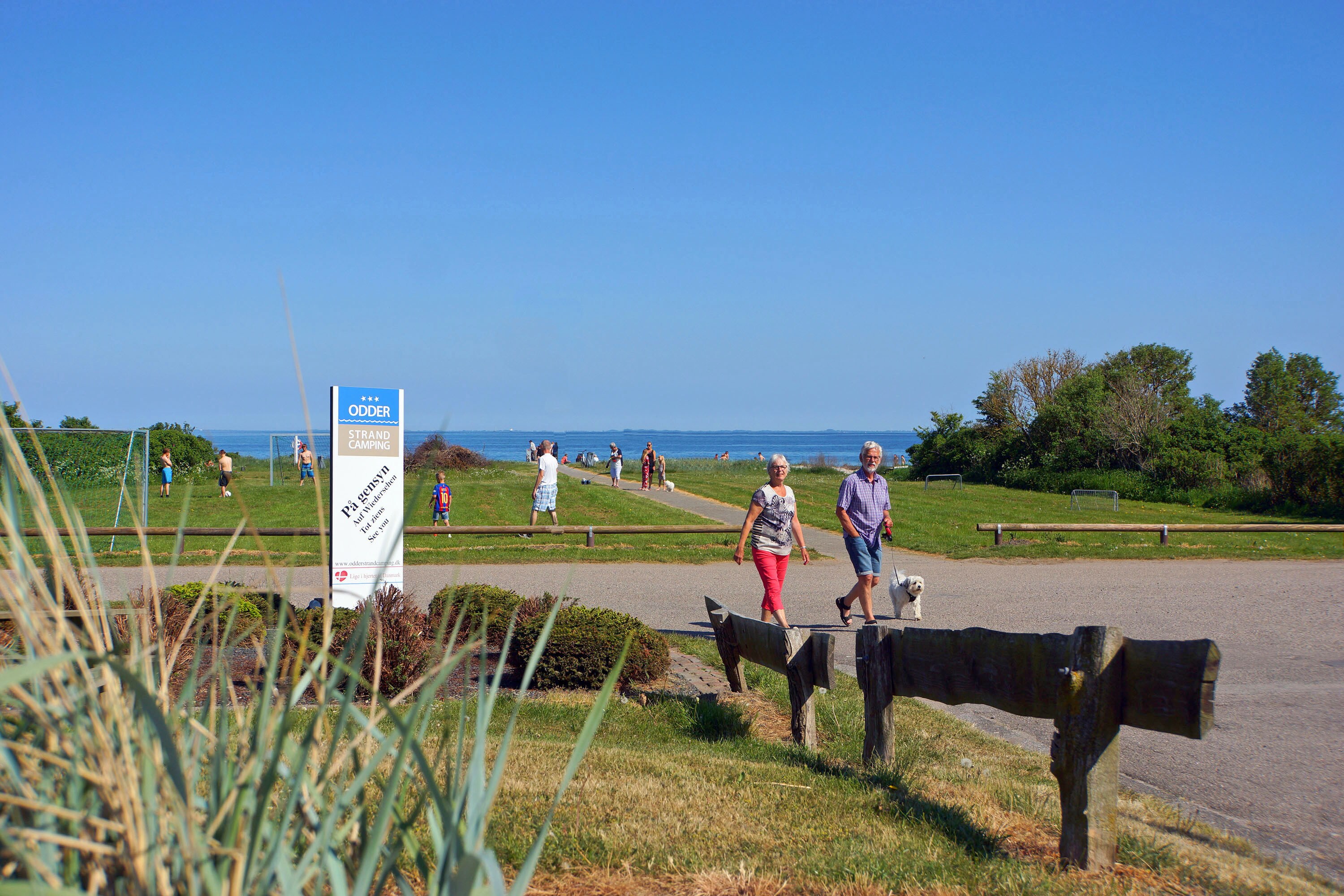 Hygge Strand Camping afbeelding 2