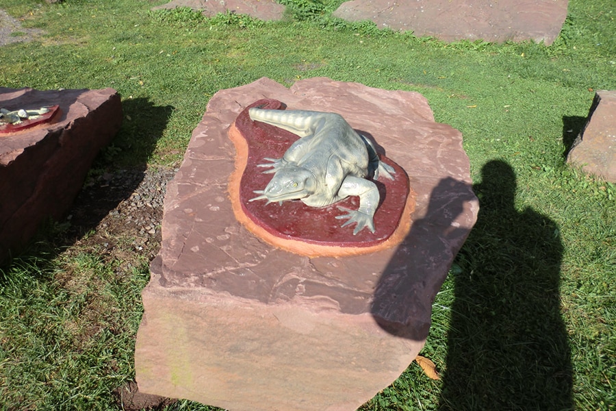 Campingplatz Am Schwimmbad