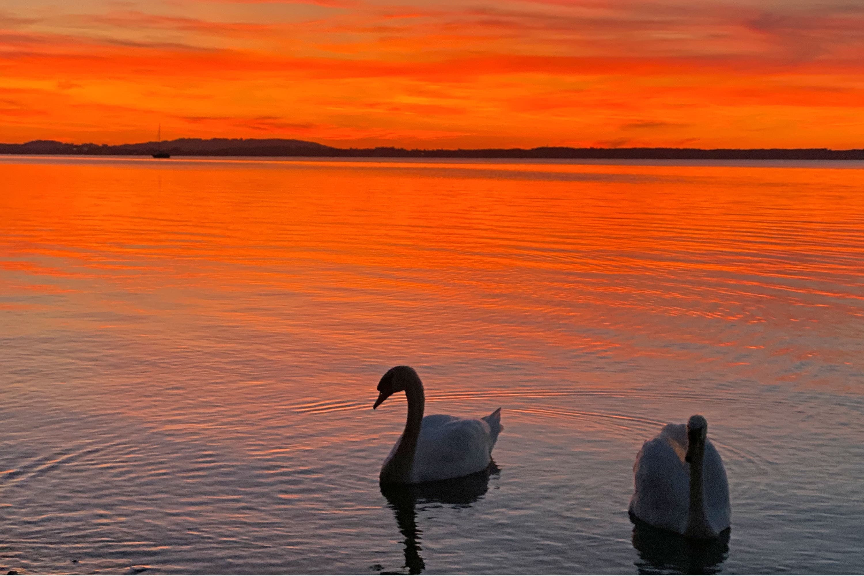 Chiemsee Strandcamping