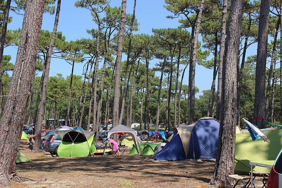 Camping Le Saint Martin