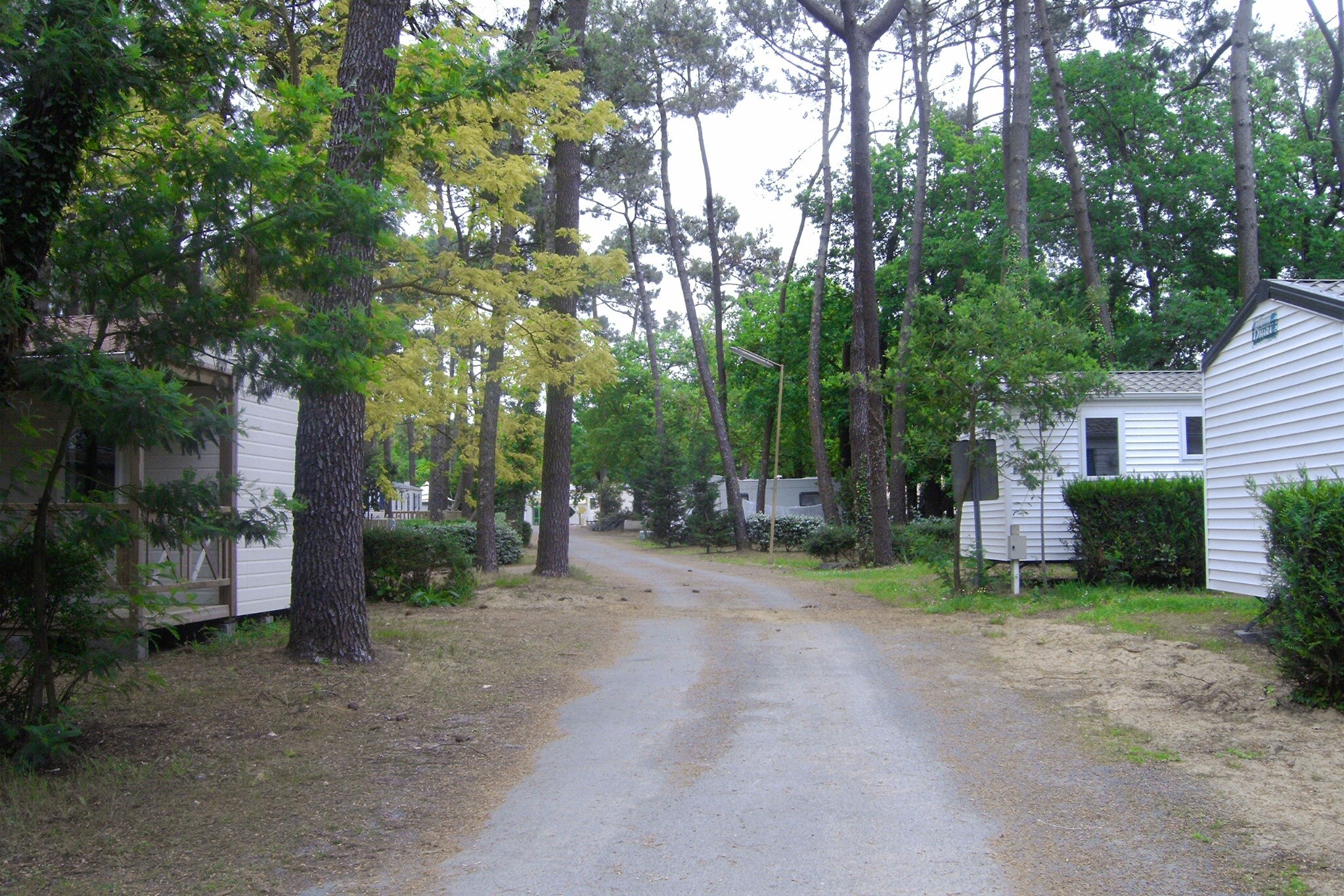 Flower Camping Au Bois des Biches