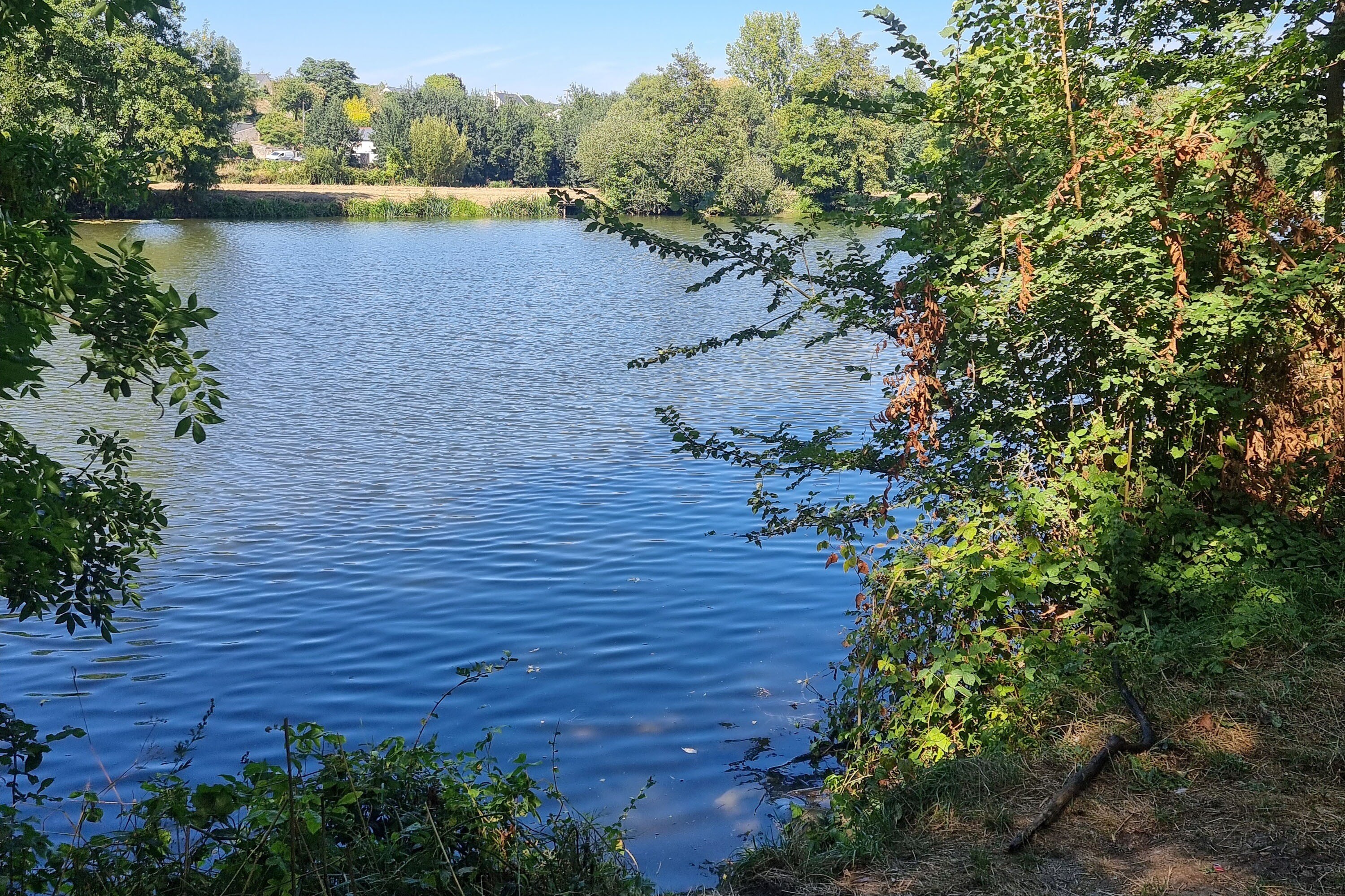 Camping Paradis Les Nobis d'Anjou