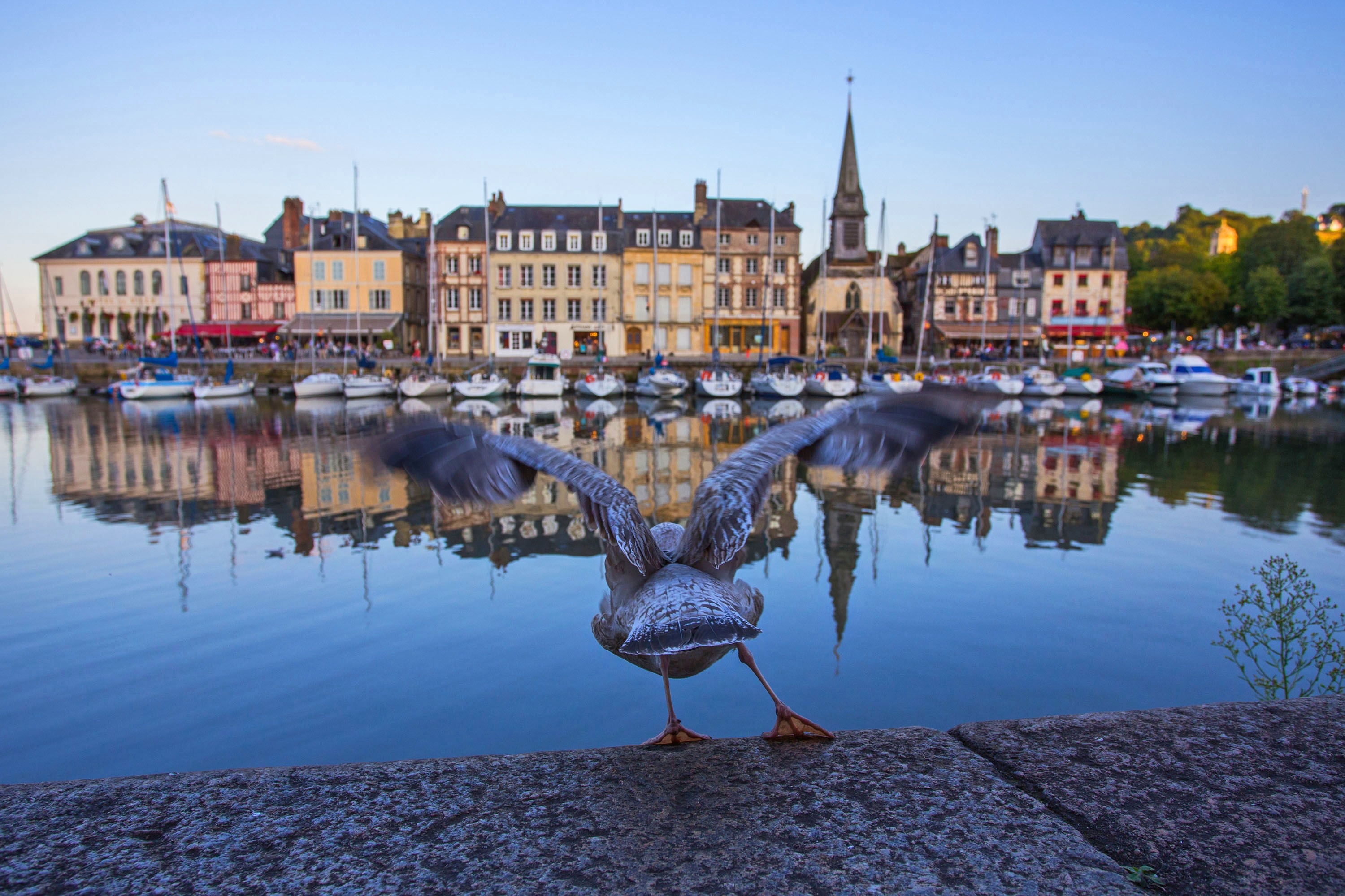 Sites & Paysages Domaine Catinière