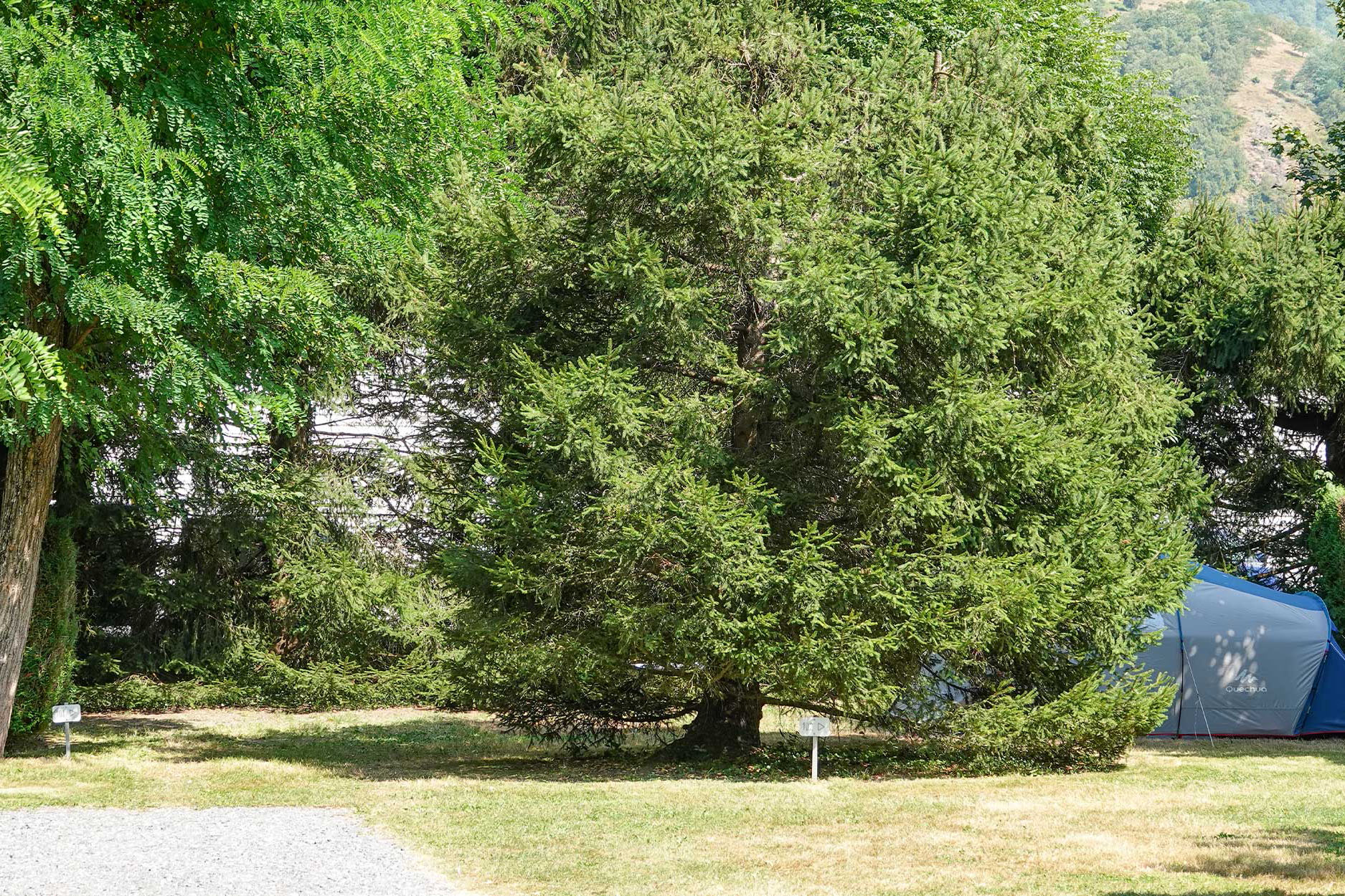 Camping Pradelongue afbeelding 2