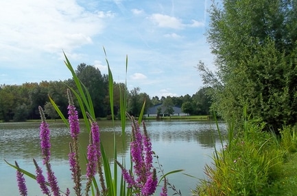 Camping de l'Aigrette