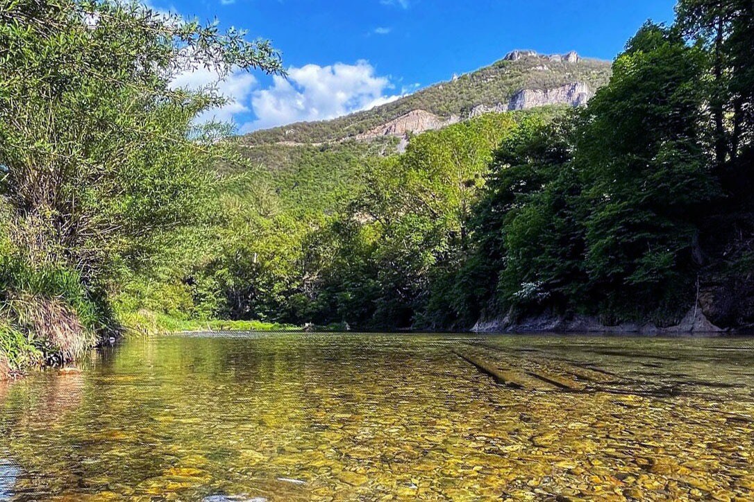 Flower Camping St. Lambert