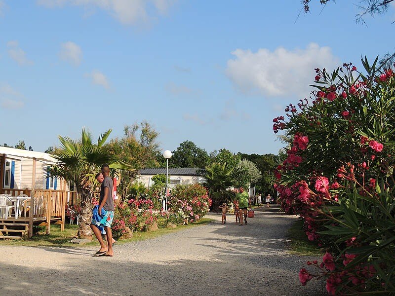 Camping La Pépinière
