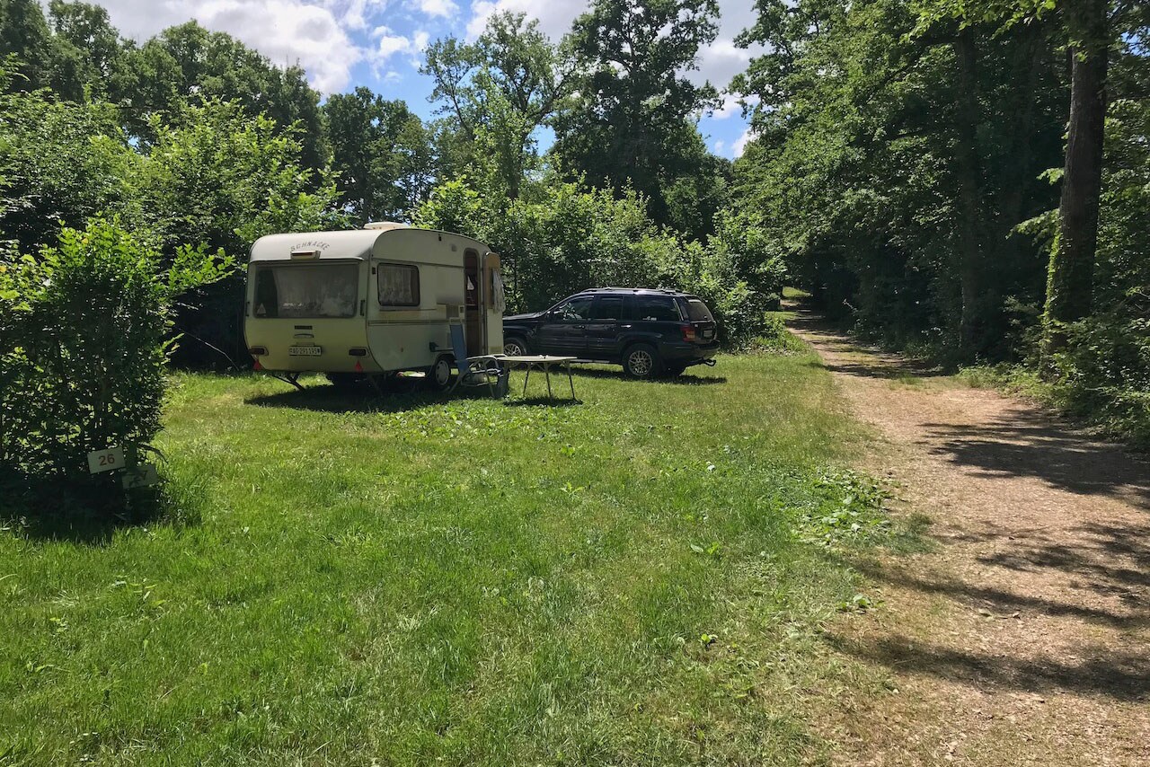 Flower Camping De la Forêt afbeelding 2