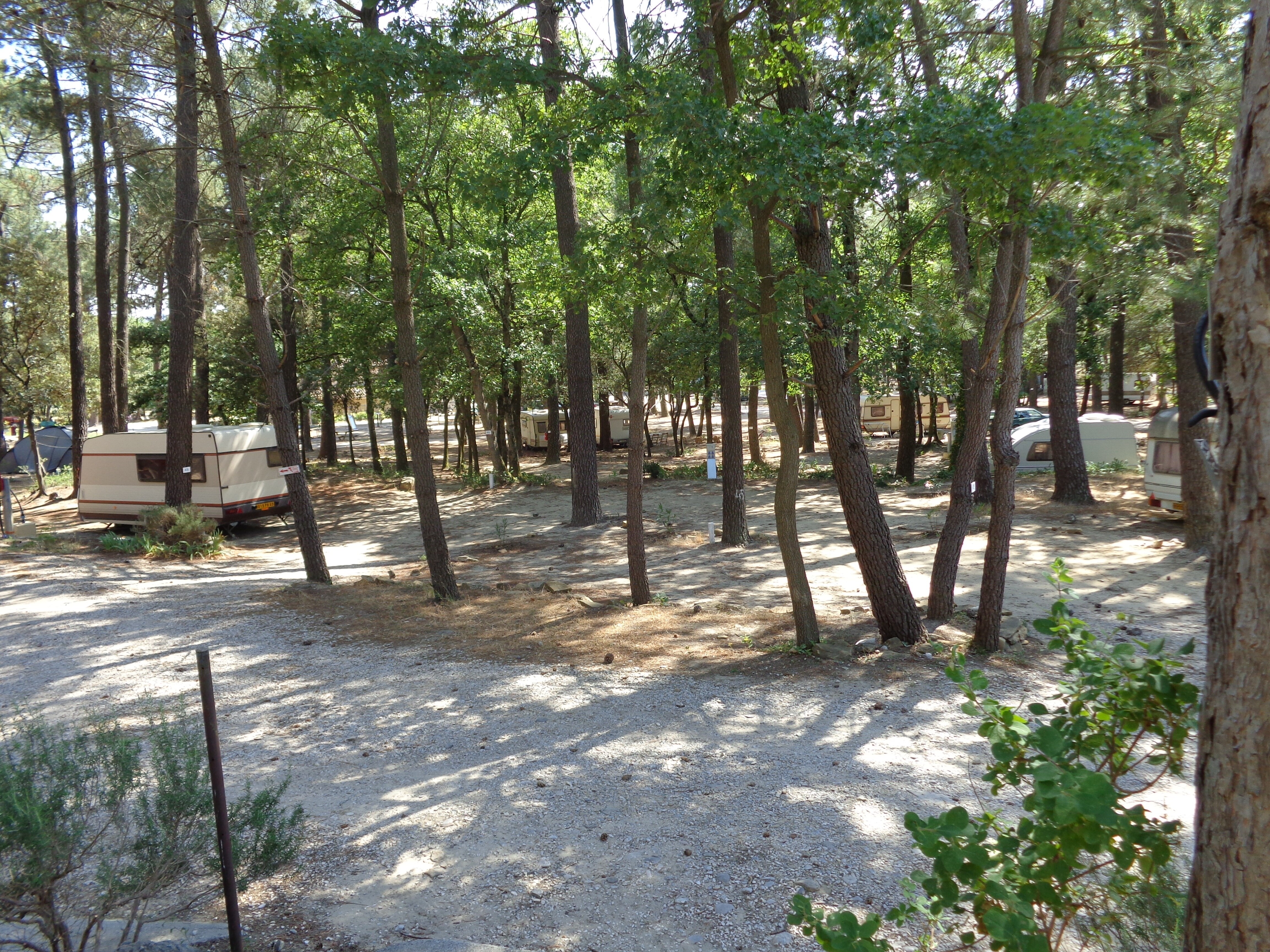 Camping La Simioune