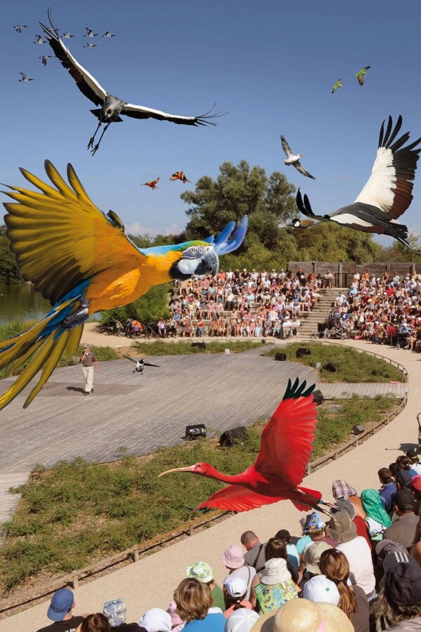 Camping Le Nid du Parc