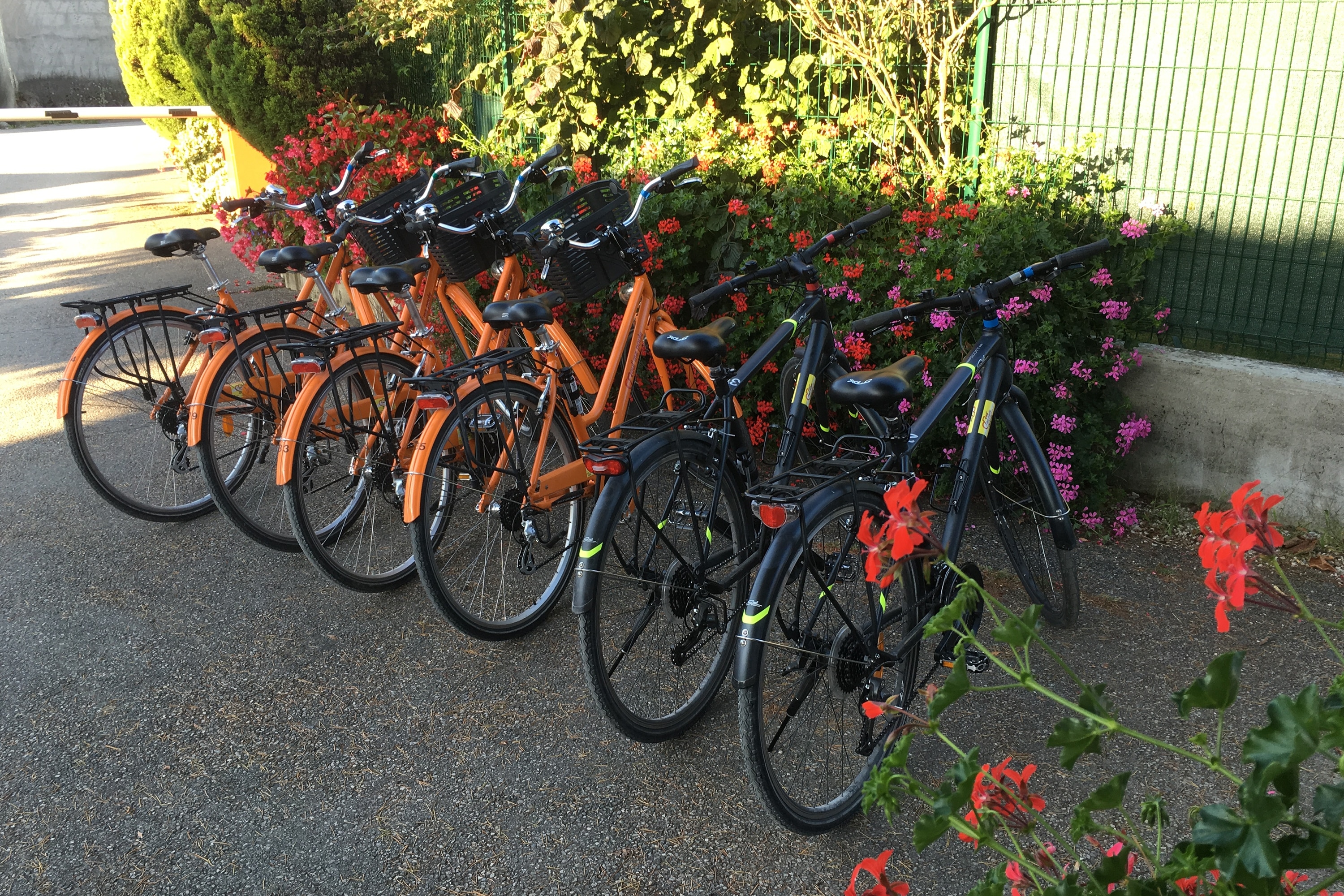 Camping Le Solitaire du Lac