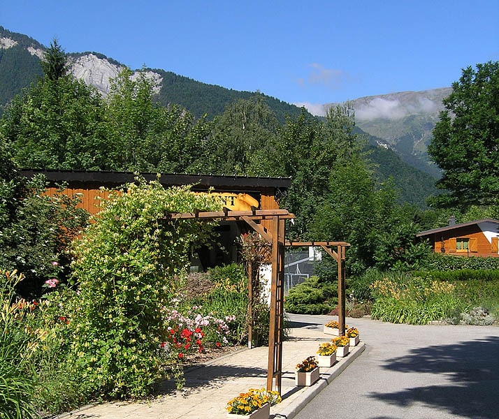 Flower Camping à la Rencontre du Soleil