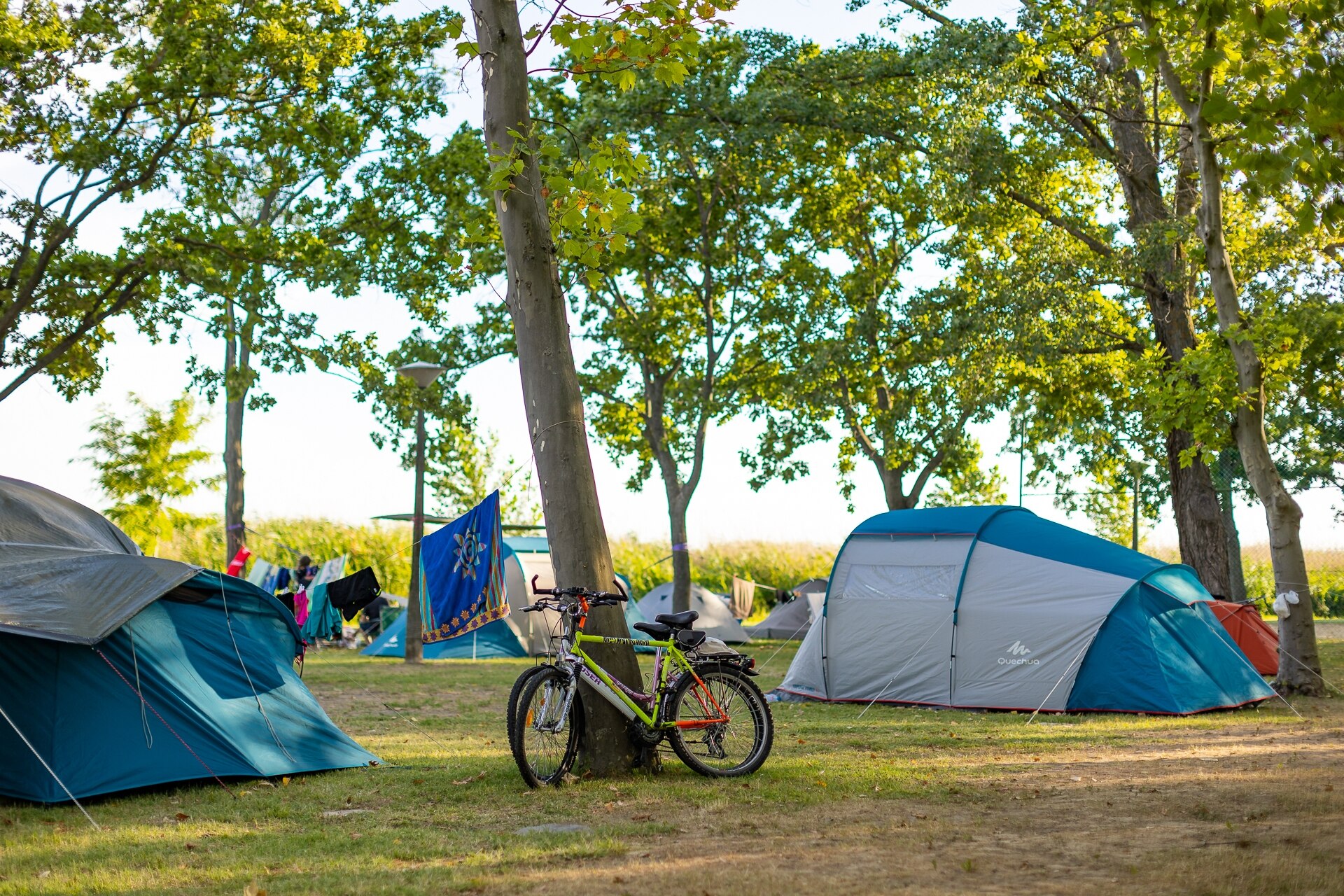 Balatontourist Camping Napfény