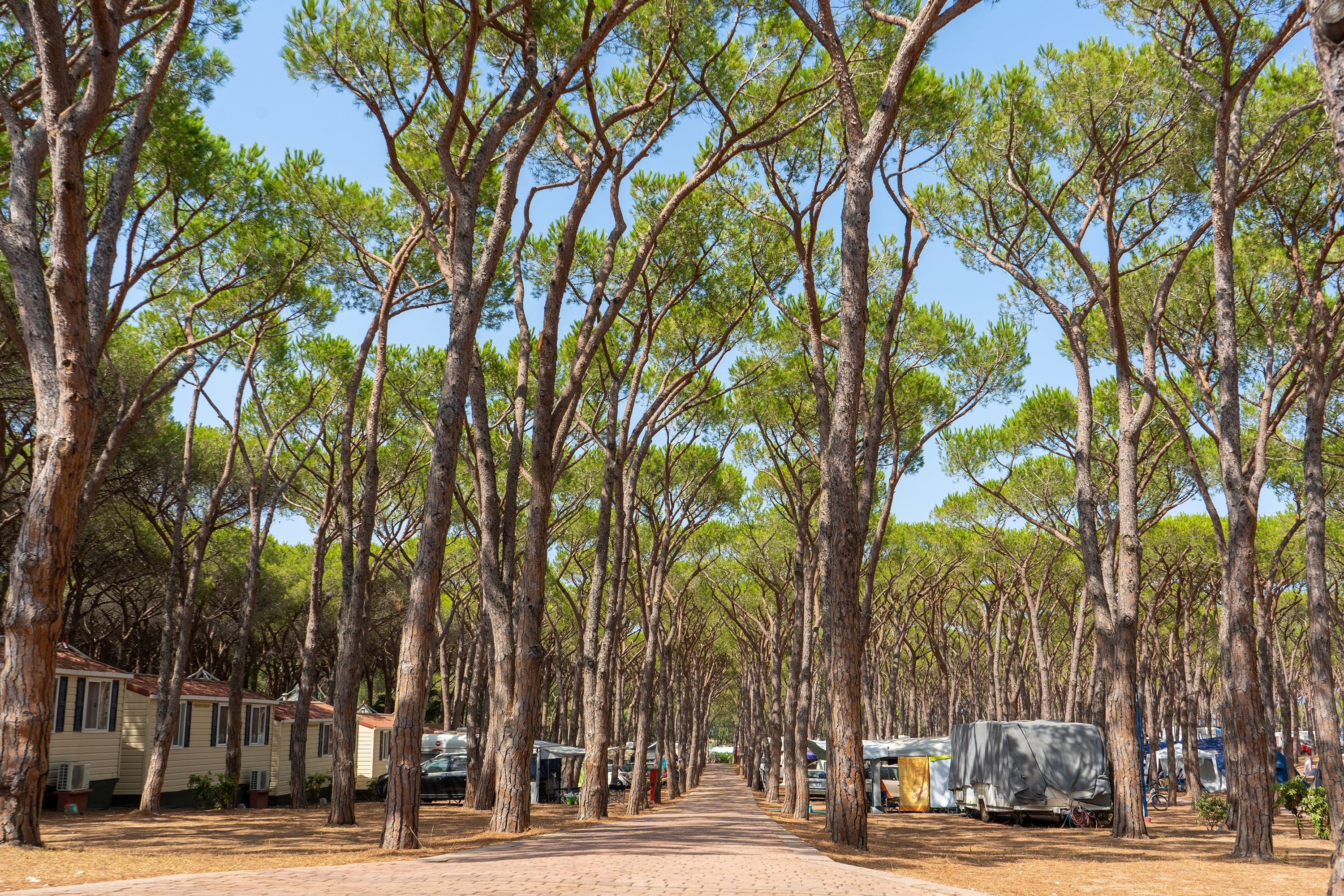 Baia Holiday Baia Blu La Tortuga