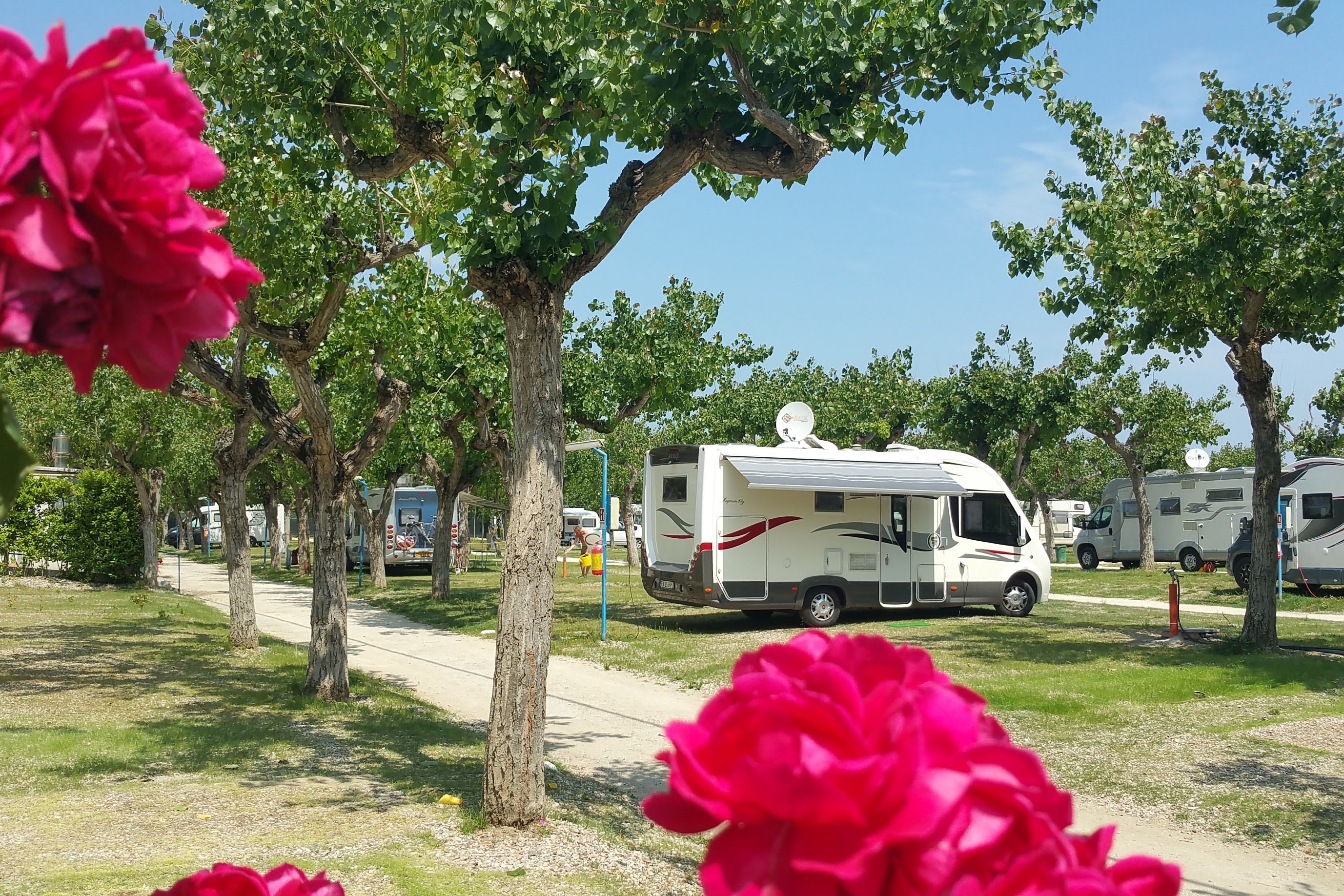 Camping Adria