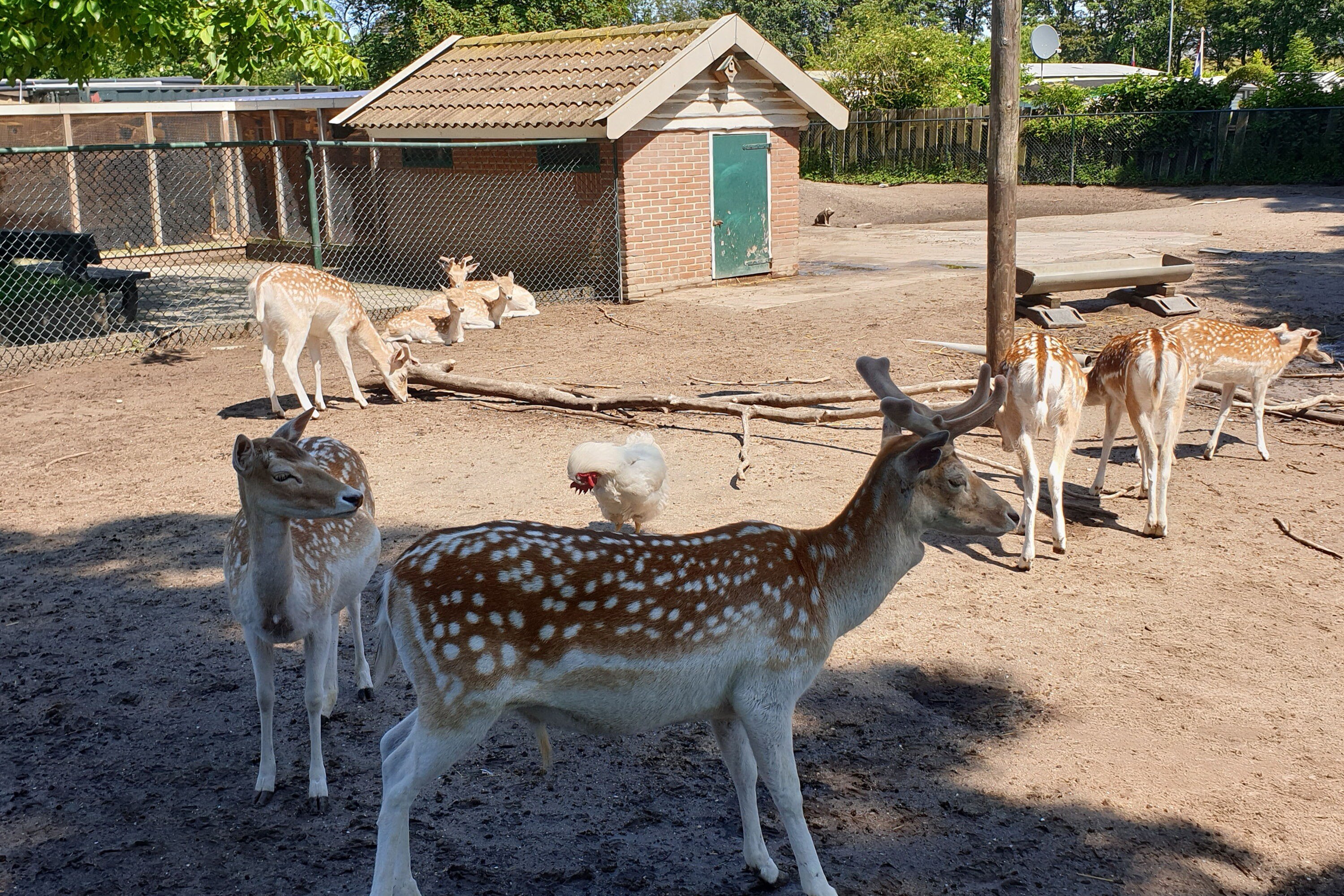 Camping De Krabbeplaat