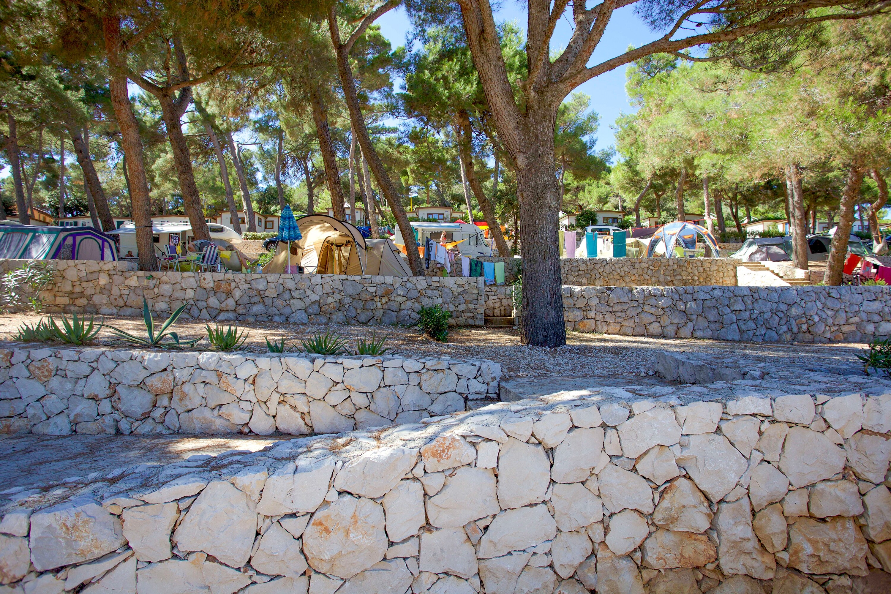 Baia Holiday Poljana