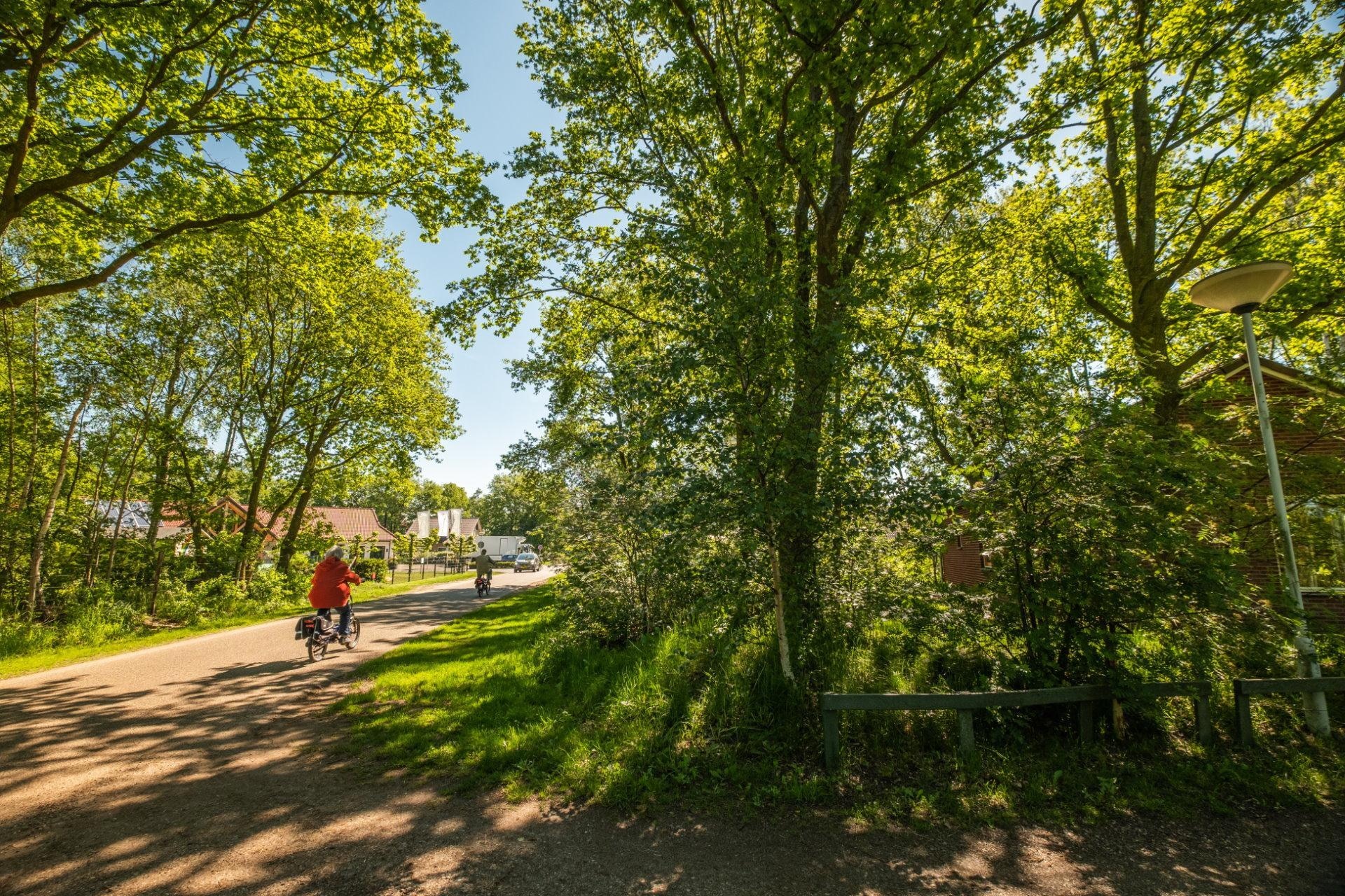 Papillon Country Resort