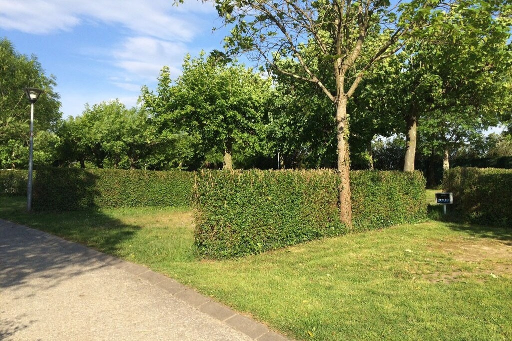 wecamp San Sebastián