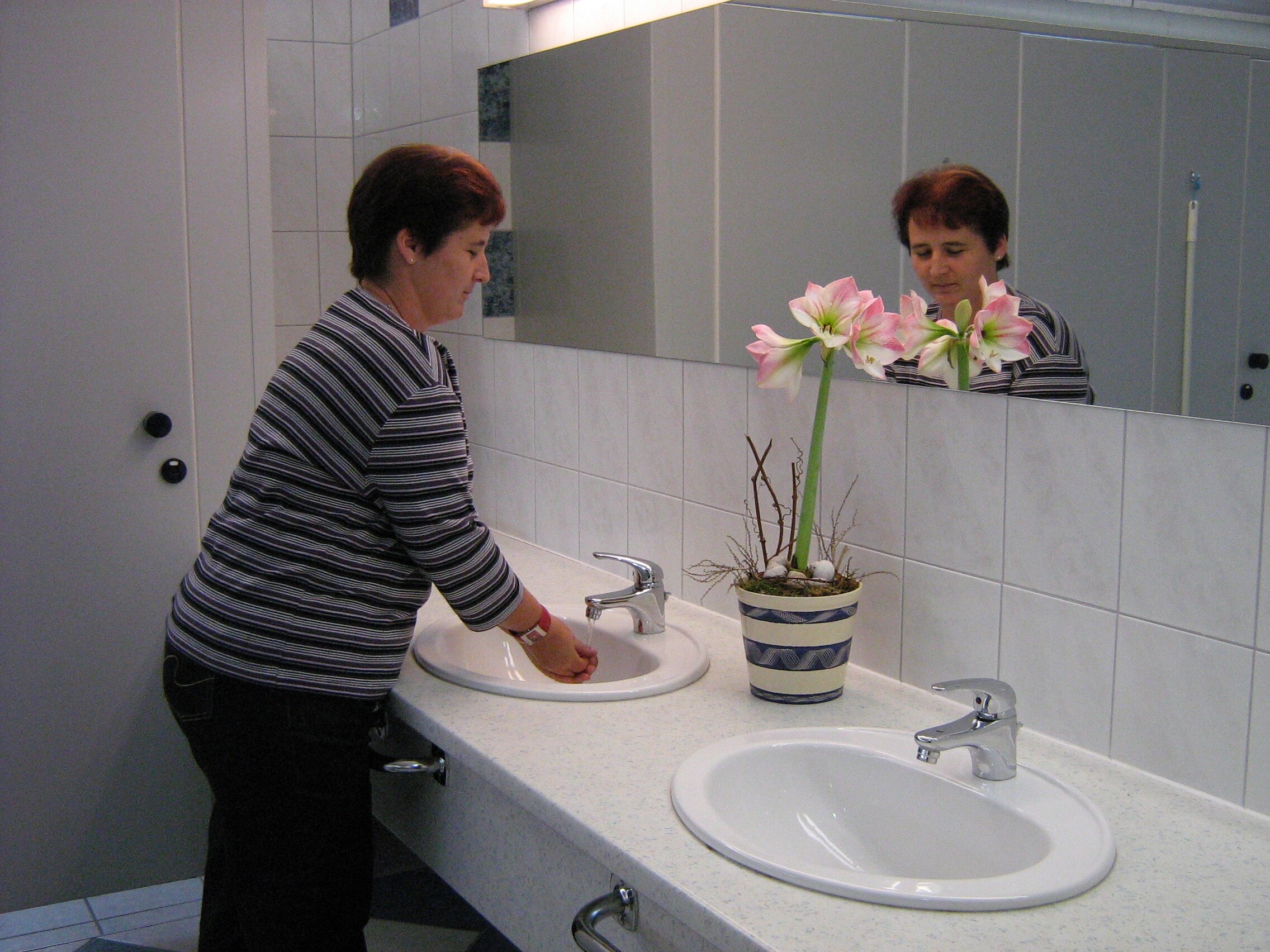 Thermenland Camping Rath & Pichler