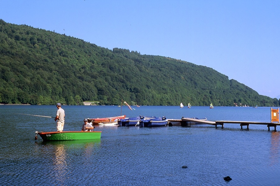 Flower Camping Ser Sirant