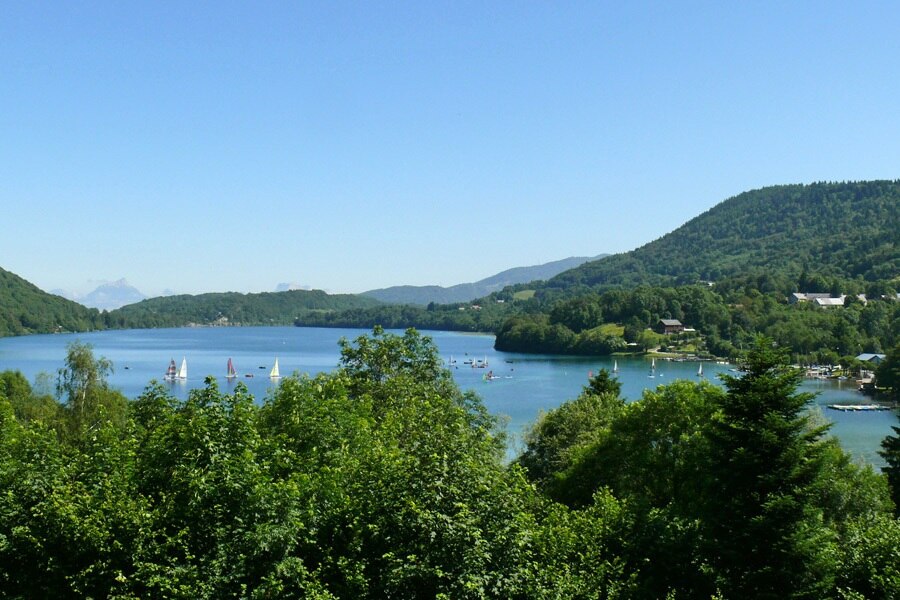 Flower Camping Ser Sirant