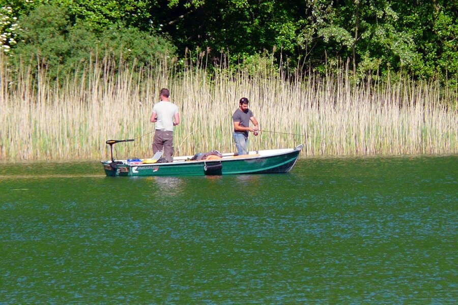 Flower Camping Ser Sirant