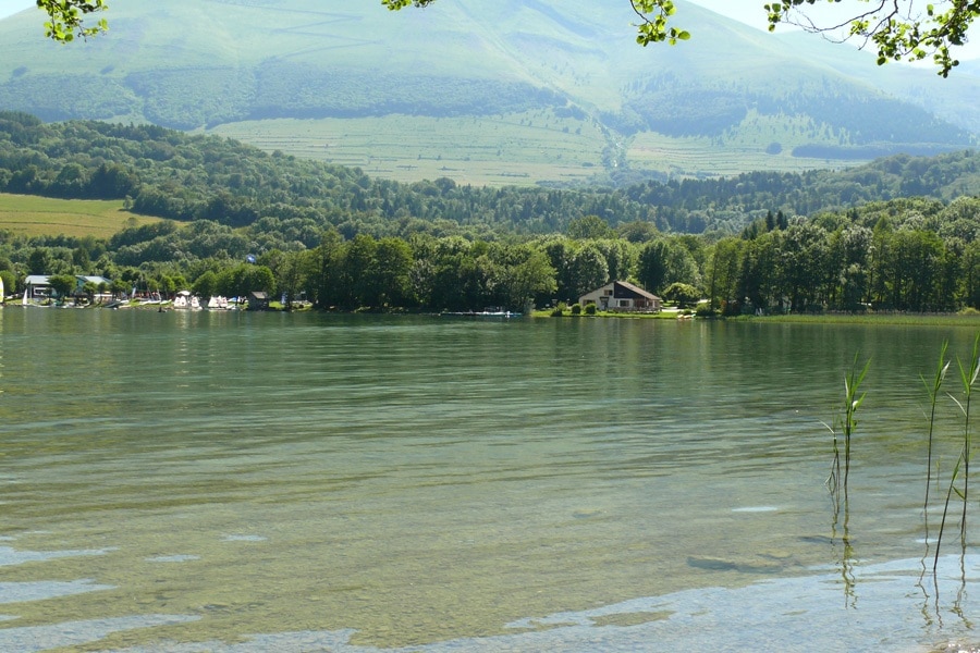 Flower Camping Ser Sirant