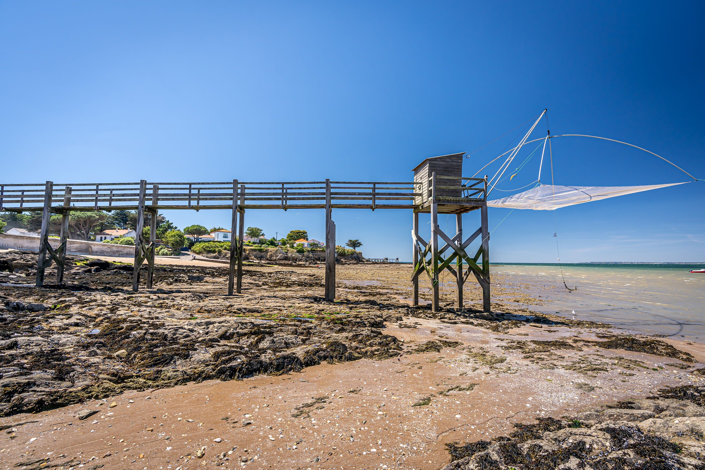 Flower Camping La Guichardière